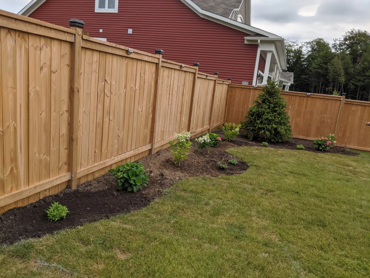 A garden bed with flowering shrubs and an evergreen along a wooden fence