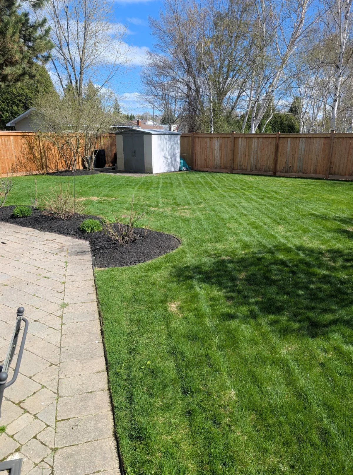 A backyard lawn bordered by curved garden beds and a stone patio